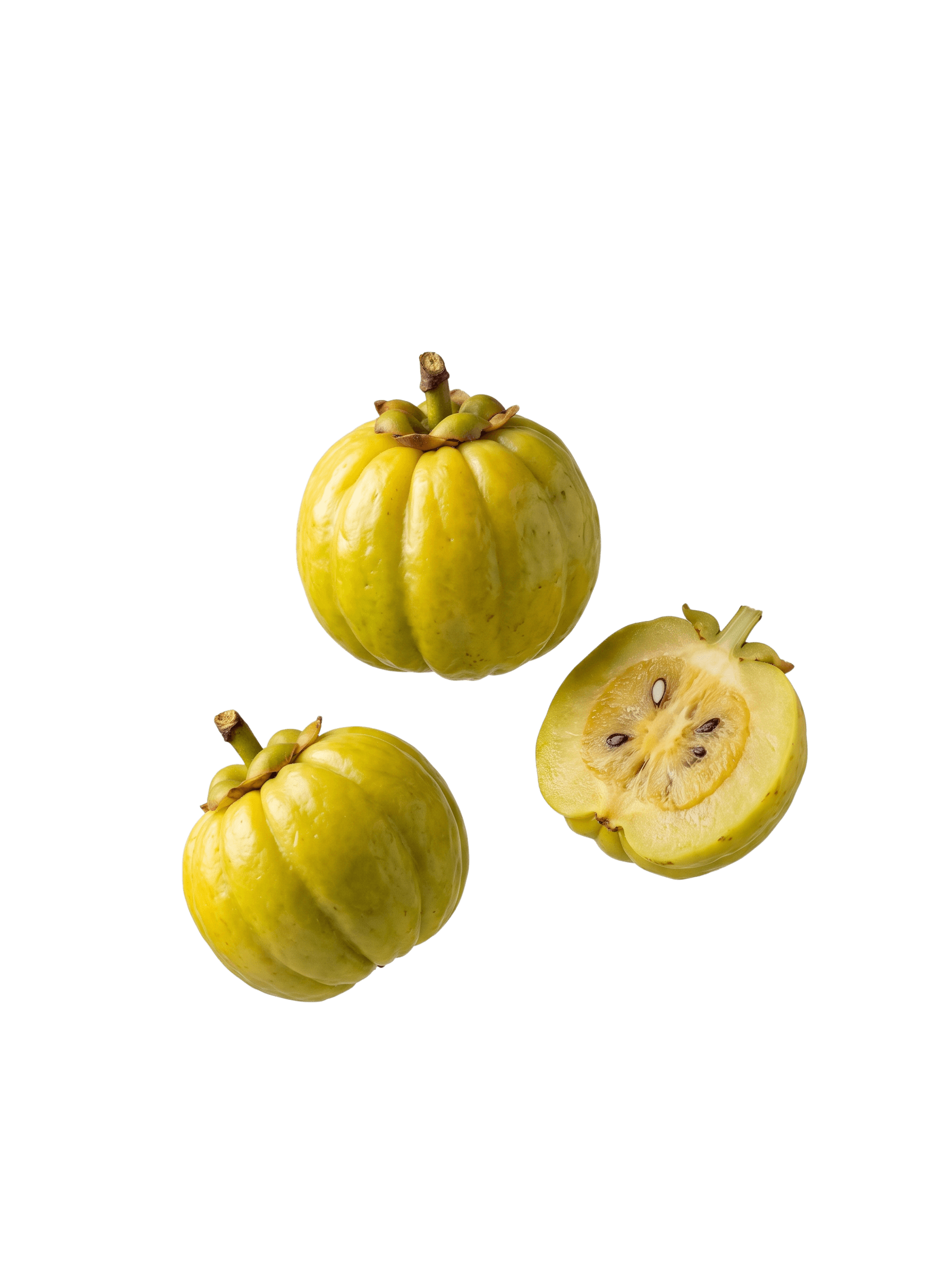 Garcinia cambogia